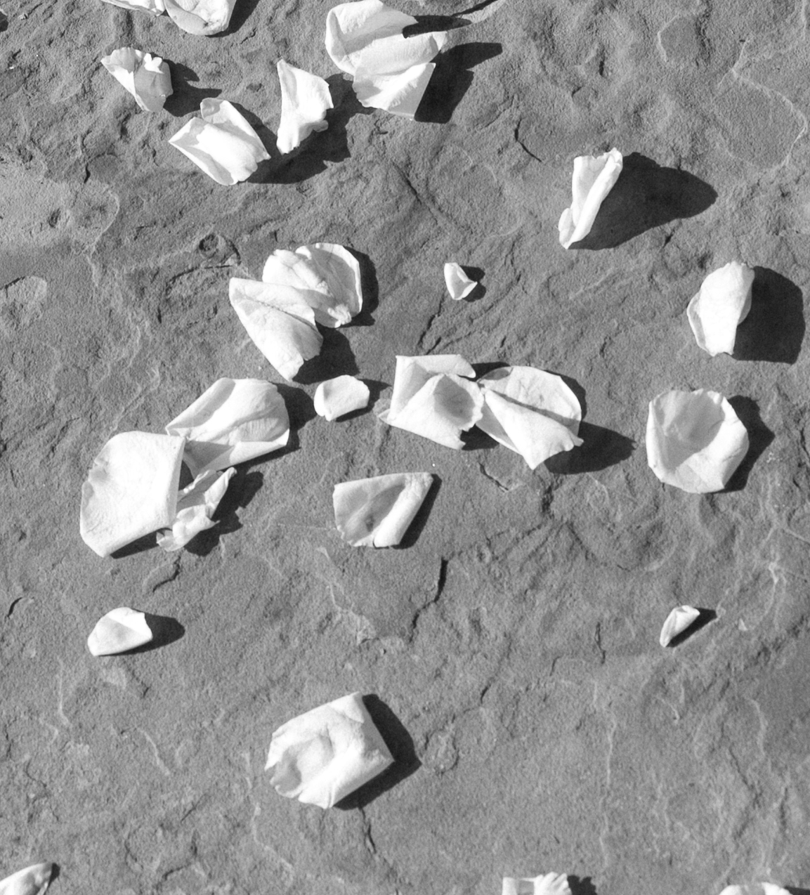 Project image 2